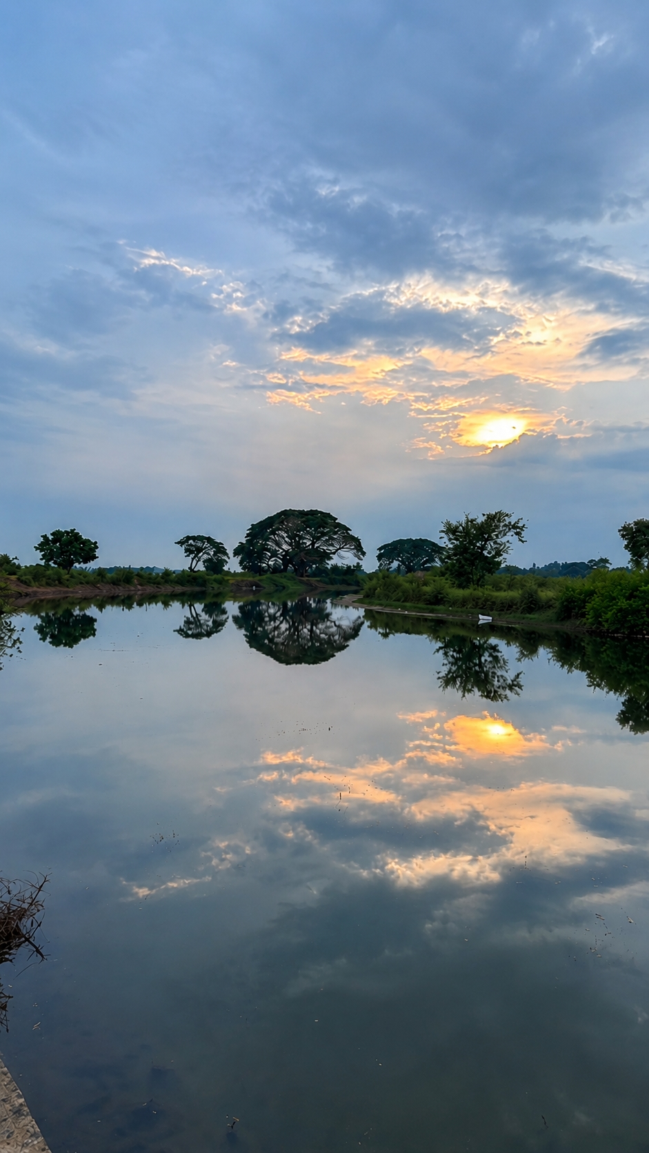 Calm water pond reflecting trees and sky